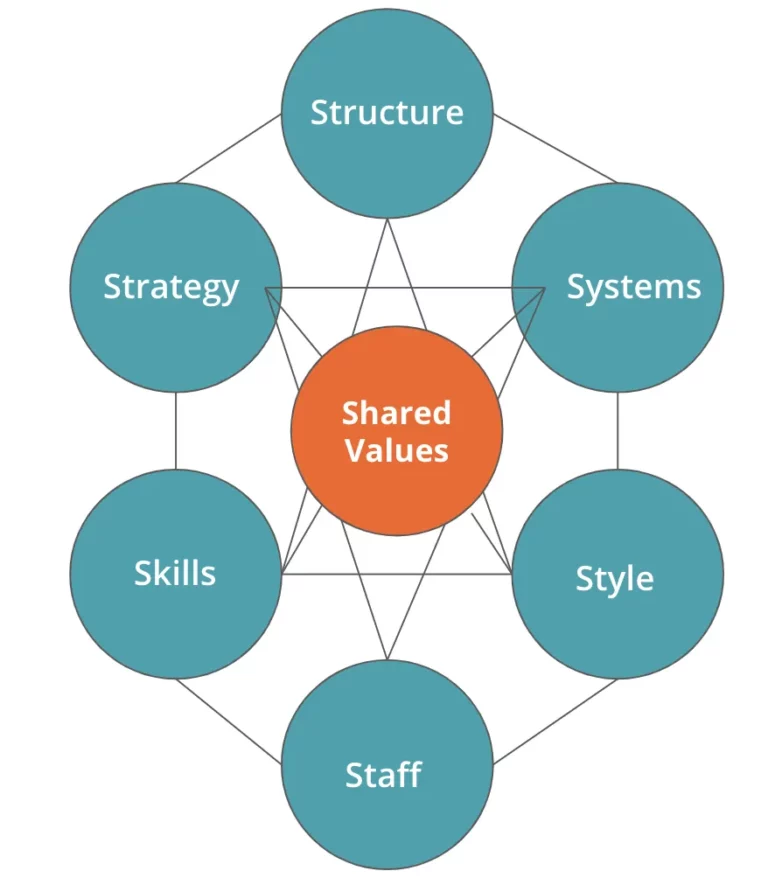 McKinseys 7s framework