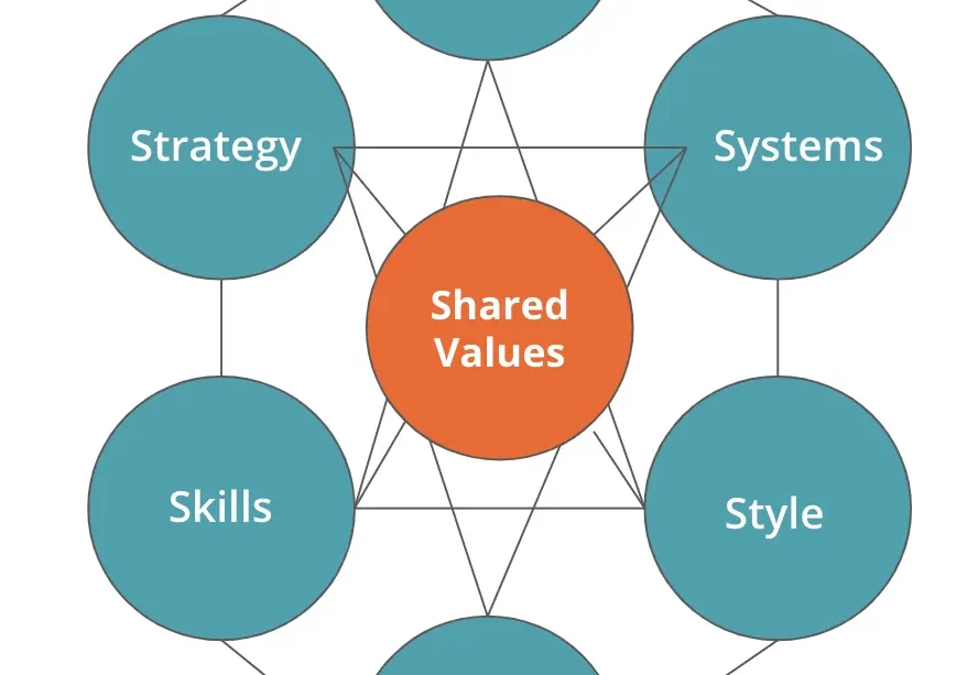 McKinseys 7s framework